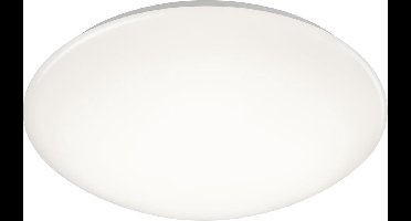 REALITY PUTZ - Plafondlamp - Wit - incl. 1x SMD 15W - D: 37cm - IP44