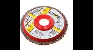 Flexovit Vlaklamellenschijf FI FLD FDSP diameter 110 x asgat 22mm P40