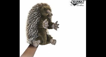 Handpop Miereneter, Hansa