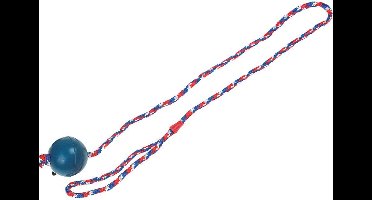 Flamingo Rubber Bal - Hondenspeelgoed - 62 cm - Blauw