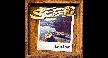 Analog