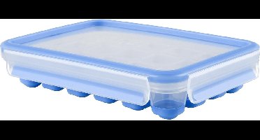 Tefal MasterSeal Fresh K30236 Ijsblokjesdoos - 100% Lekvrij - Met Deksel - Geschikt voor Diepvries