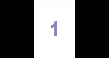 Kangaro etiketten - universeel - inkjet/laser/kopieer / 210x297mm - 25 vel - 1 sticker per vel - K-210297-25