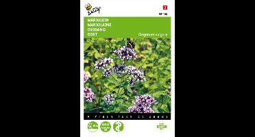 Buzzy Zaden Marjolein of Oregano - Origanum vulgare