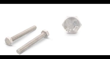 Deltafix - Tapbout m10x60mm rvs