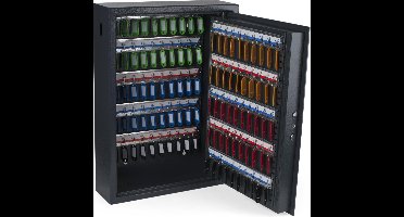 Sleutelkast Pavo High Security 100 Haken 555x408x138mm