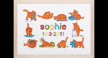 Pako Borduurpakket - Geboorte - telpatroon met codekaart - geboortetegel Dikkie Dik , Jet boeke - 272.020 - voorgesorteerd garen - Aida - 46 x 29 cm - DIY kit