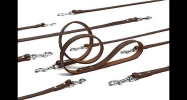 Beeztees Geniet Hondenriem - Bruin - 100 cm x 16 mm