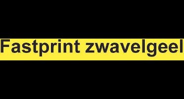 Kopieerpapier Fastprint Zwavelgeel A4 160gr
