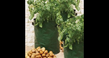 Aardappel kweekzak groen - set van 5 stuks