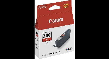 Original Ink Cartridge Canon 300R