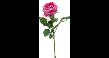 Emerald - Kunstbloem Roos Jenny RT 60cm oudroze - Kunstplant voor binnen