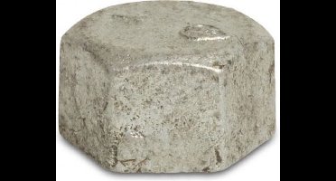 BOSTA Nr. 300 - Gegalvaniseerde zeskantige dop 3/4