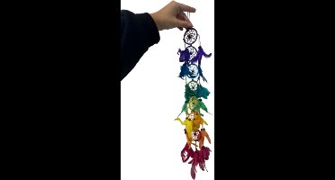 Dromenvanger rainbow 6 cm 7 chakra's