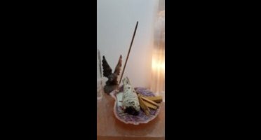 Smudge set - kit - Tijgerschelp - Witte salie smudge stick - white sage (wierookstokjes 5 x) - Palo Santo 25 gram (heilig hout) - Smudge Veer Blauw-Gele Ara - Meditatie - Yoga - Huis reiniging - Zuivering
