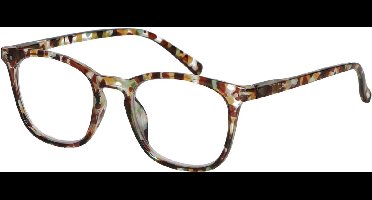 Spectrum Leesbril Havana 2.50