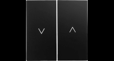 ION industries bedieningswip Jaloezieschakelaar - E1 Mat Zwart (20.302.216)