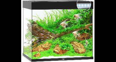 Juwel Lido 200 LED Aquarium - Zwart - 200L - 71 x 51 x 65 cm