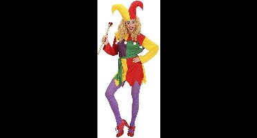 Joker kostuum dames Nar