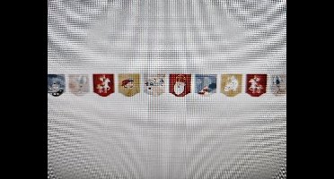 Vlaggenlijn Sint & Co. (6m, textiel)