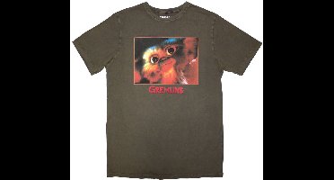 Gremlins - Gizmo Photo Heren T-shirt - M - Groen