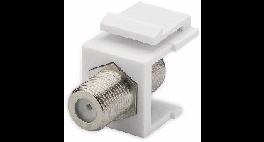 Keystone module F (v) - F (v) / wit