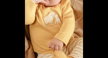 Little Dutch Shirt lange mouw - Maat 68 - T-shirt Jongens & Meisjes - Warm Yellow, Geel - Little Farm