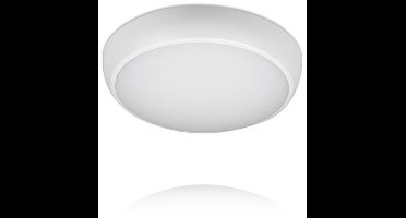 Wit - Plafondlamp - 12 W - 1200 lumen - IP54 - 6500K