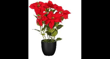 Mica Decorations Kunstplant Poinsettia - 40x40x60 cm - Polyester - Rood