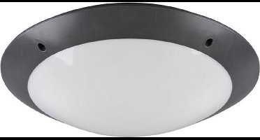 REALITY CAMARO - Plafondlamp - Antraciet - excl. 2x E27 4,9W - Buitenverlichting - IP54