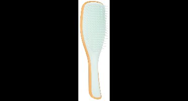 Tangle Teezer The Ultimate Borstel Ultimate Detangler Sweet Orange & Ice Blue 1St