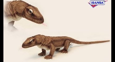 Komodo Hagedis, Hansa