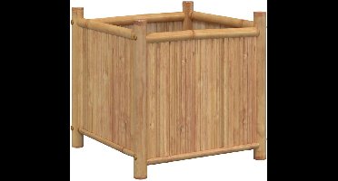 vidaXL - Plantenbak - 50x50x50 - cm - bamboe