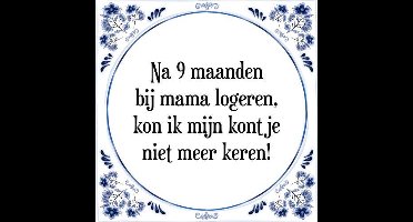 Tegeltje met Spreuk (Tegeltjeswijsheid): Na 9 maanden bij mama logeren, kon ik mijn kontje niet meer keren! + Kado verpakking & Plakhanger