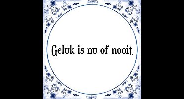 Tegeltje met Spreuk (Tegeltjeswijsheid): Geluk is nu of nooit + Kado verpakking & Plakhanger