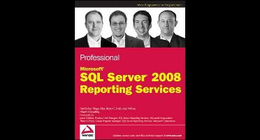 Professional Microsoft SQL Server 2008 Reporting Services