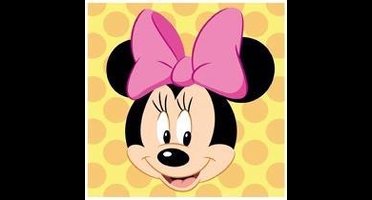 Borduurpakket voorgedrukt Disney Minnie Mouse 2