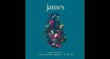 James - Living In Extraordinary Times