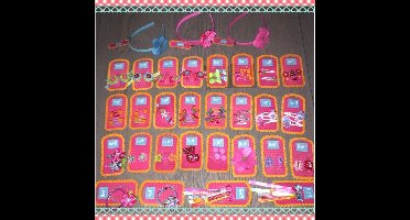 Lief Lifestyle! Mooi Haaraccesoires pakket! (5)