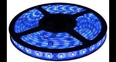 LED strip BLAUW3528 + adapter