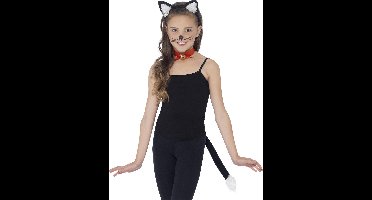 Setje Kat Kinderen