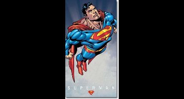 Superman Wandbord 'Classic' - Metaal - 21 x 40 cm
