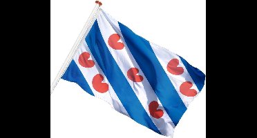 Talamex Friese vlag 30 x 45 cm