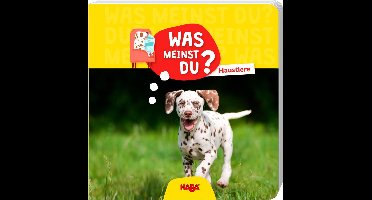 Was meinst du? Haustiere¹
