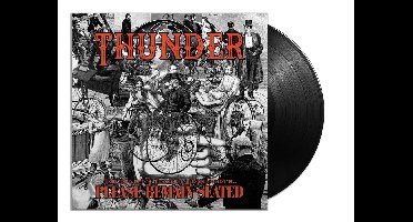 Please Remain.. -Ltd- (LP)