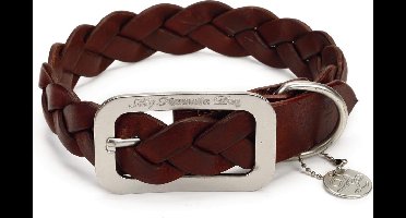 Leren halsband