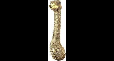 Wandversiering Emoe Tabitha Struisvogel Goud 72 cm - Polysteen - Wanddecoratie