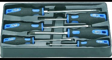 KS Tools Torque schroevendraaier set (6 stuks)