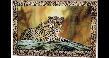 Luipaard schilderij 29 cm x 39 cm