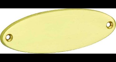 Naamplaat Elips 110x38mm messing gelakt